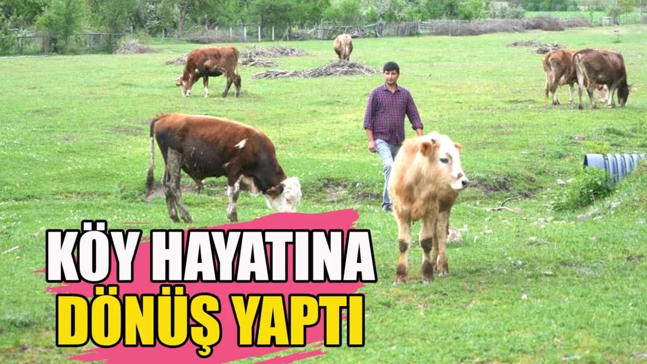 Şehir hayatından bıktı, döndüğü köyünde hayvancılığa başladı