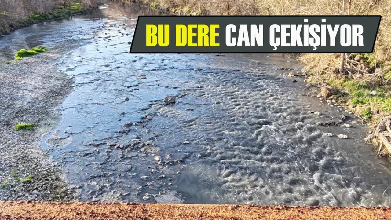 Fabrikaların zehrini kustuğu dere can çekişiyor
