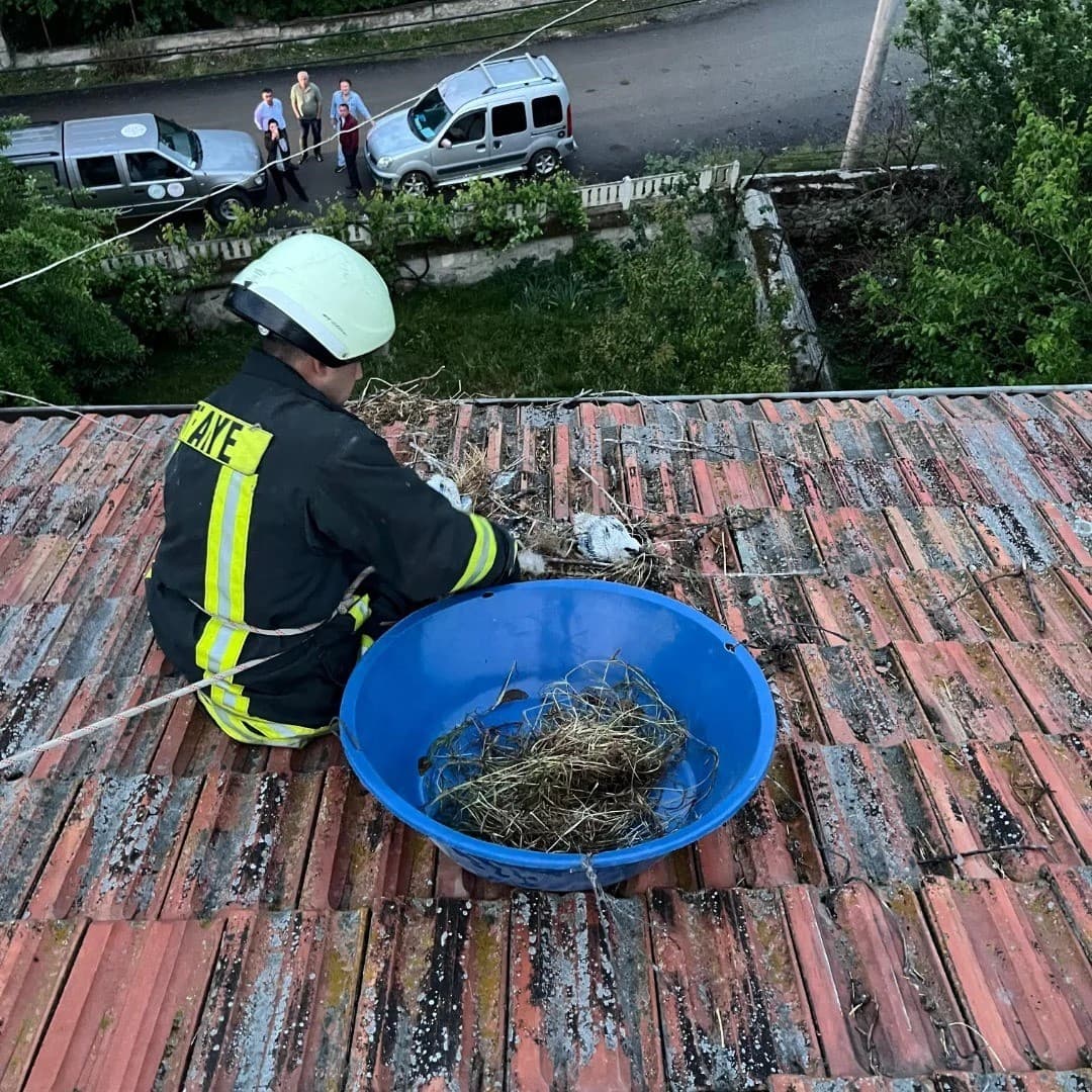 Çatıda mahsur kalan yavru leylekler itfaiye tarafından kurtarıldı