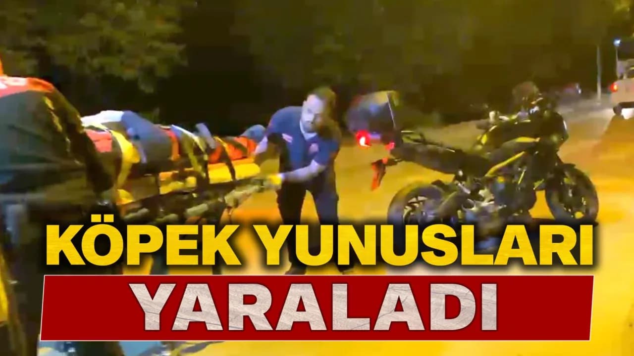 Kavga ihbarına giden polislere köpek saldırdı: 2 yaralı
