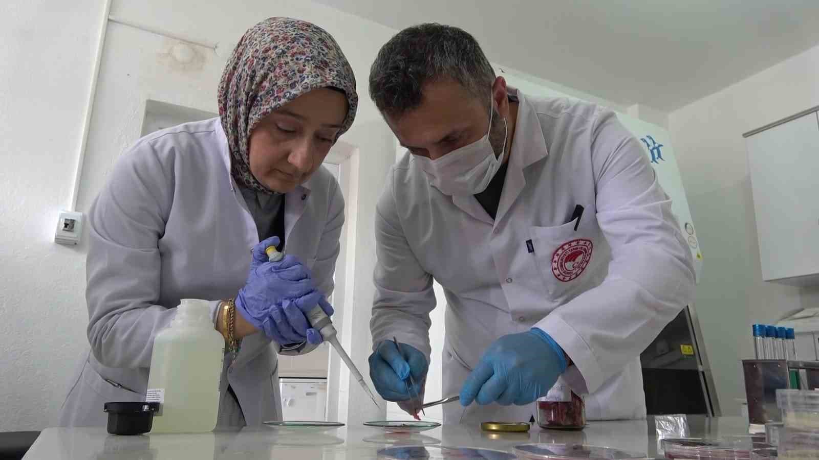 Gıda uzmanından uyarı: "Kurban etini hemen buzdolabına koymayın"