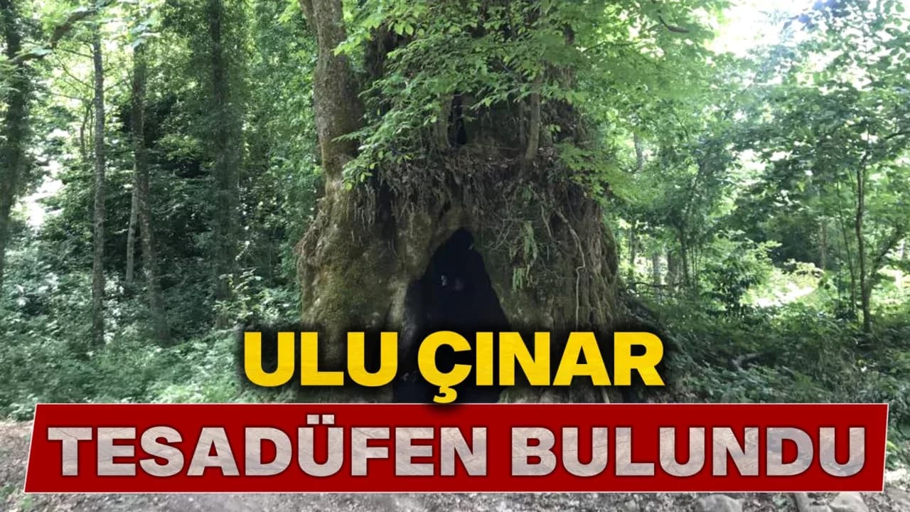 Tesadüfen bulundu, bir ili heyecan sardı