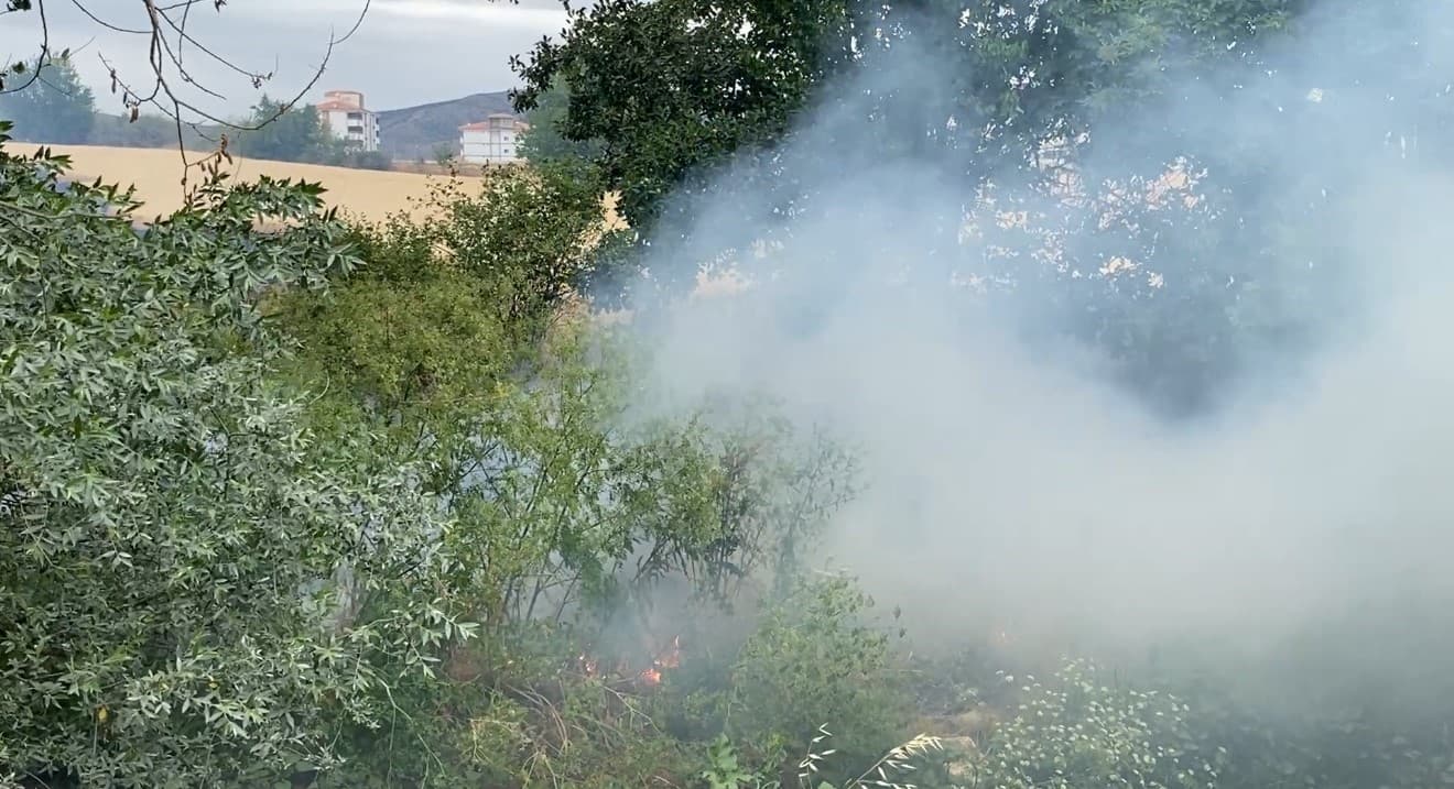 Arazide çıkan yangın yerleşim yerine sıçramadan söndürüldü
