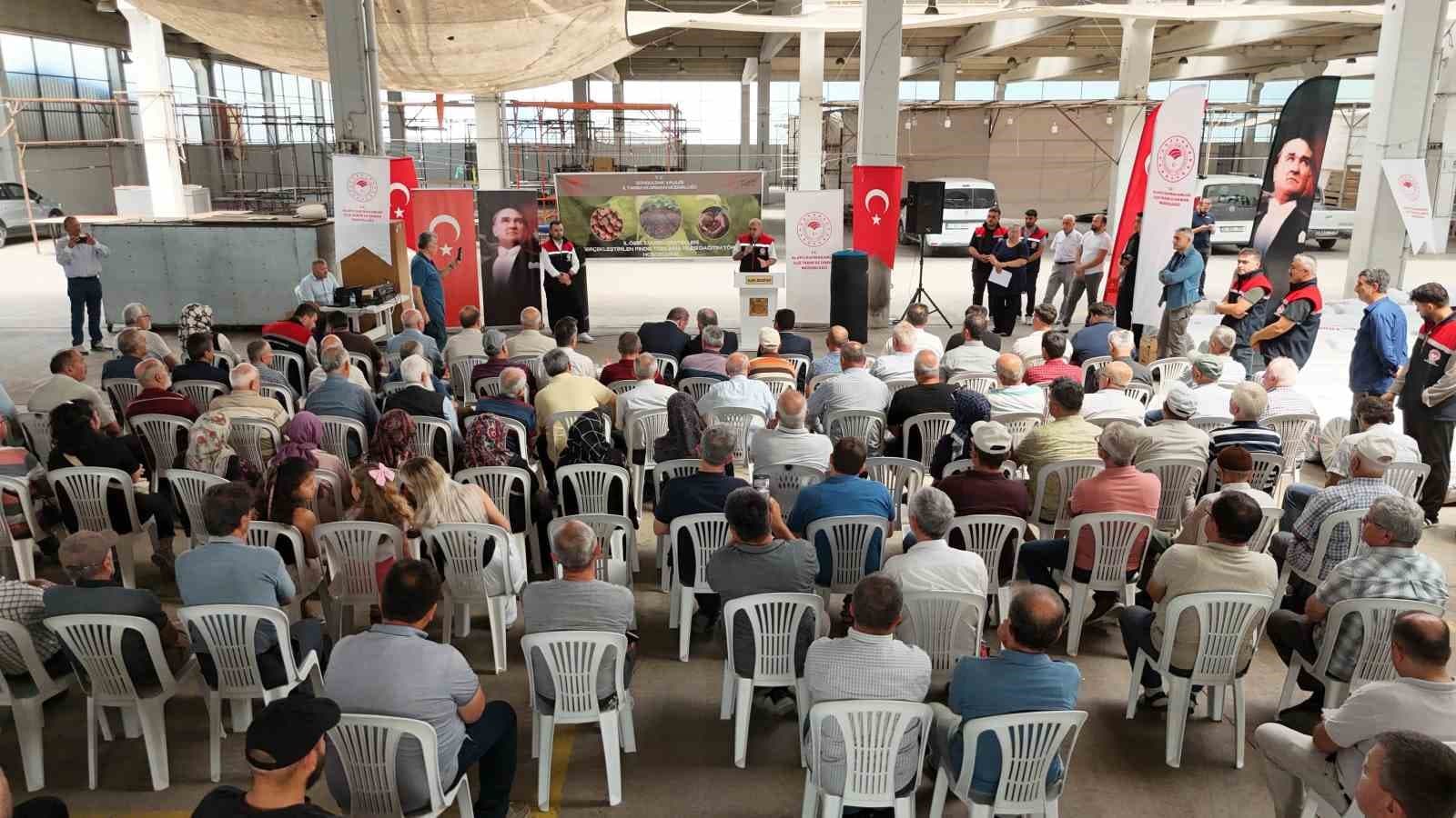 Fındık üreticilerine yüzde elli bedelle hasat filesi desteği