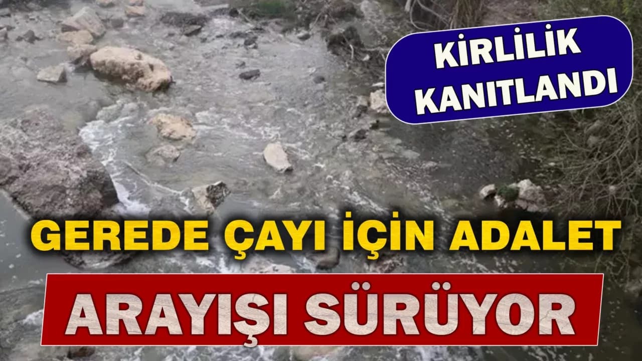 Gerede Çayında Kirlilik Kanıtlandı Ama Durdurma Kararı Çıkmadı