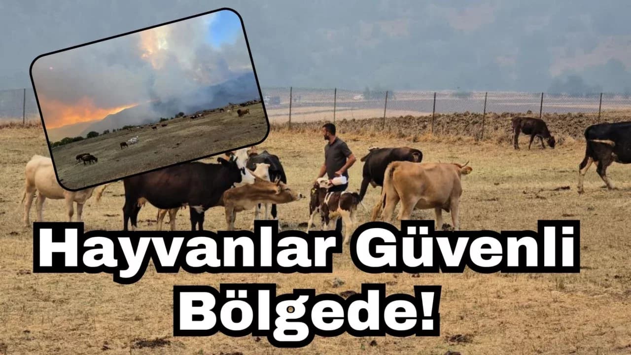 Orman yangını köye yaklaştı
