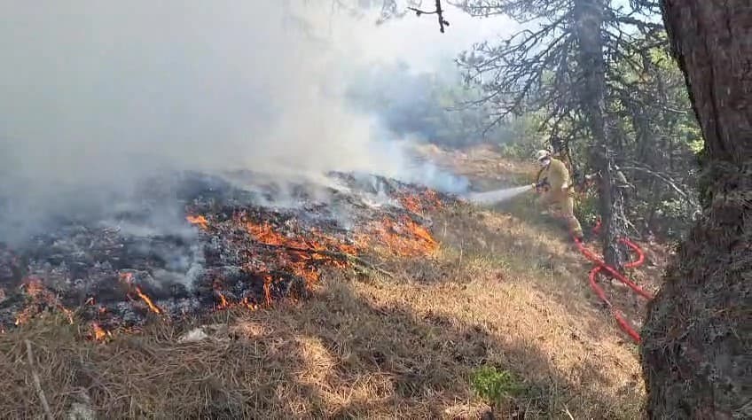Bolu’da orman yangını: Havadan ve karadan müdahale sürüyor