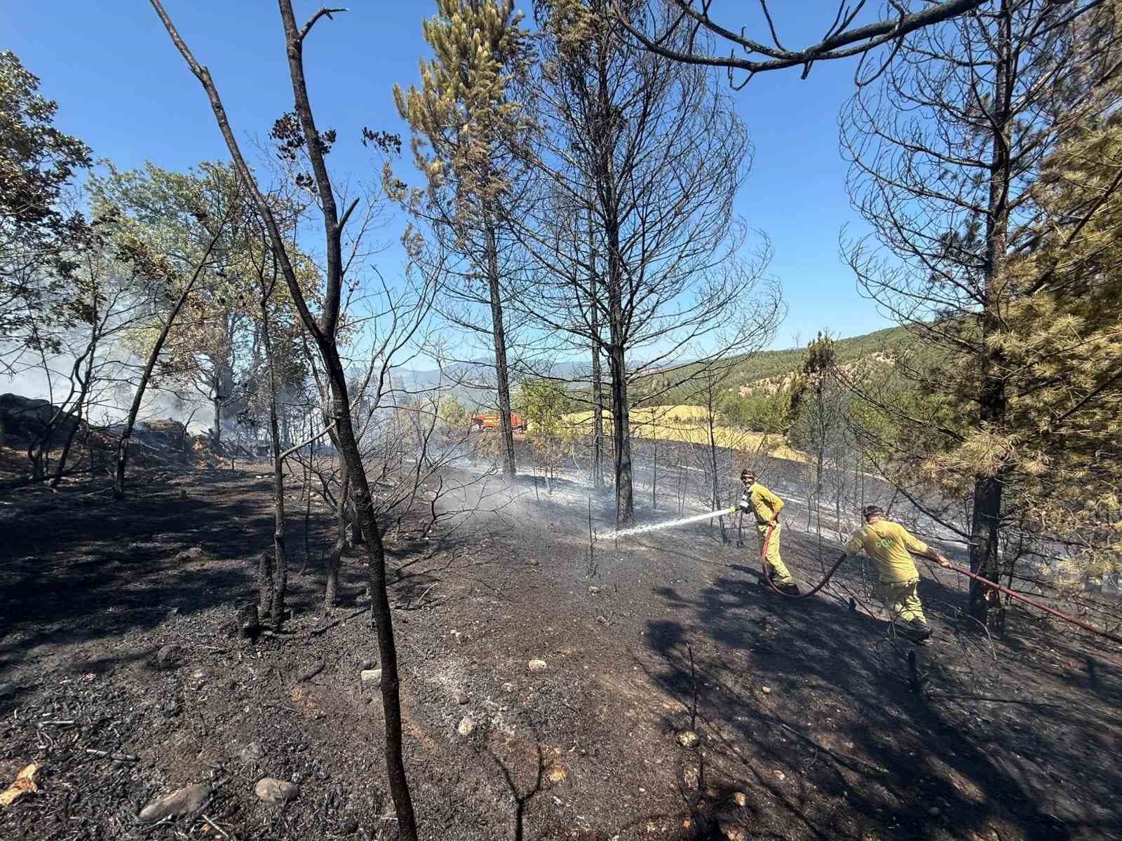 Kastamonu’da ormanlık alanda çıkan yangında samanlık, kümes ve baraka kullanılamaz hale geldi