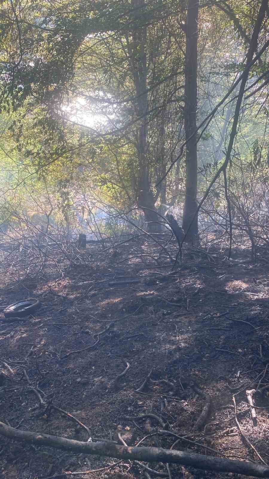 Zonguldak’ta ormanlık alanda çıkan yangın kısa sürede söndürüldü