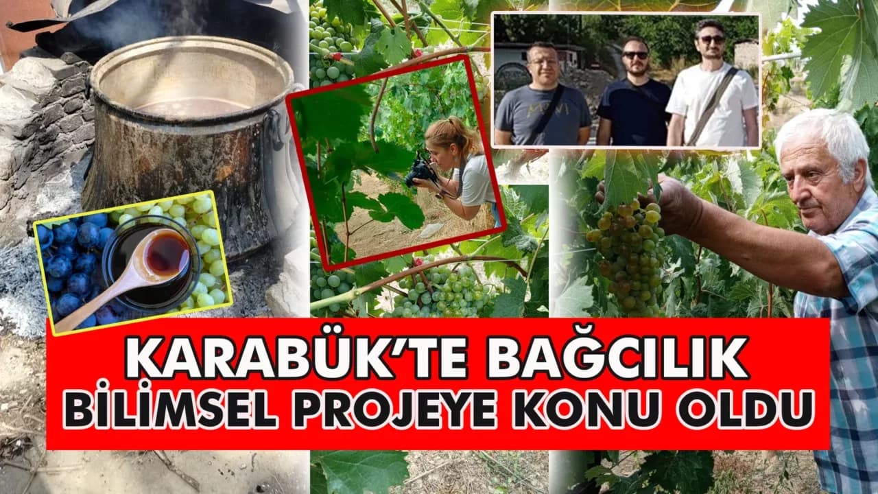 KARABÜK’TE BAĞCILIK KÜLTÜREL MİRAS PROJESİNE KONU OLDU