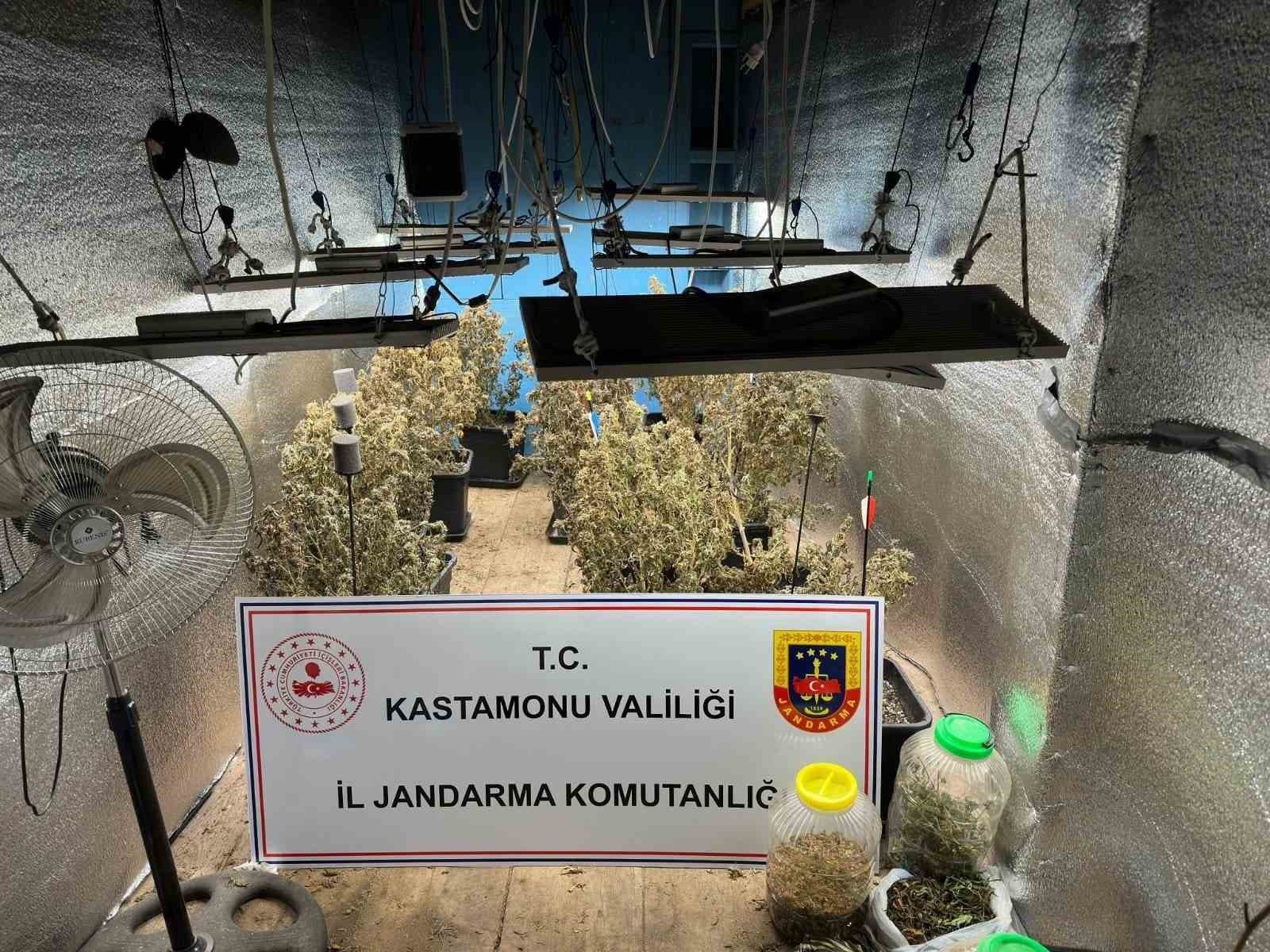 Çiftlik evlerini kenevir yetiştiren sanıklar tahliye edildi