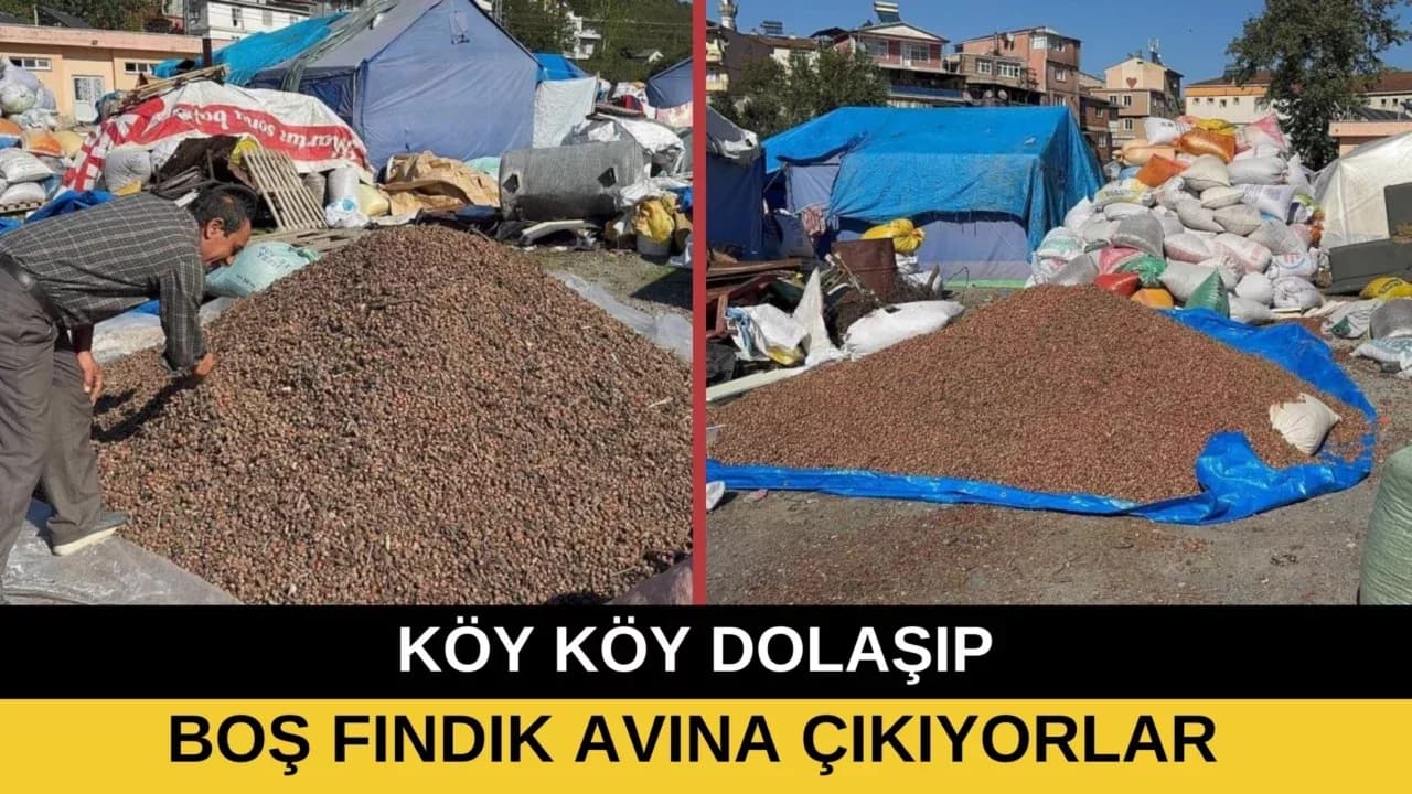 SADECE FINDIK DEĞİL, BOŞU DA KAZANDIRIYOR