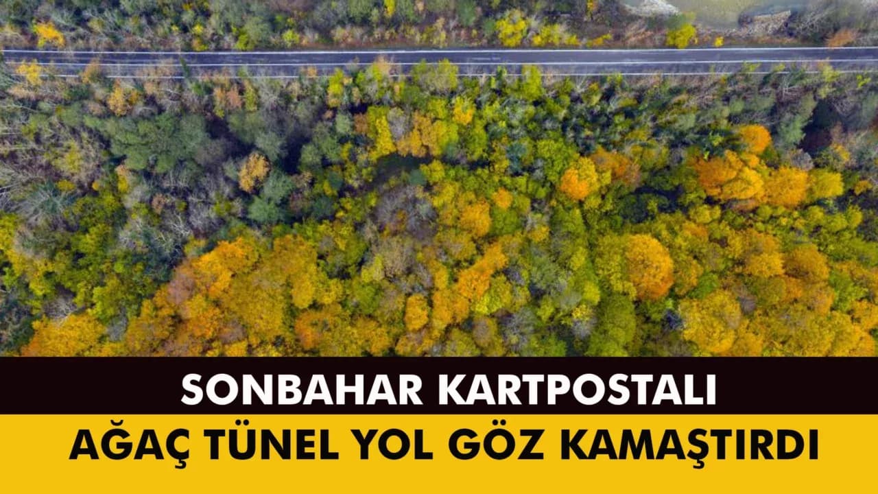 Karabük-Bartın Yolu Sonbahar Renklerine Büründü