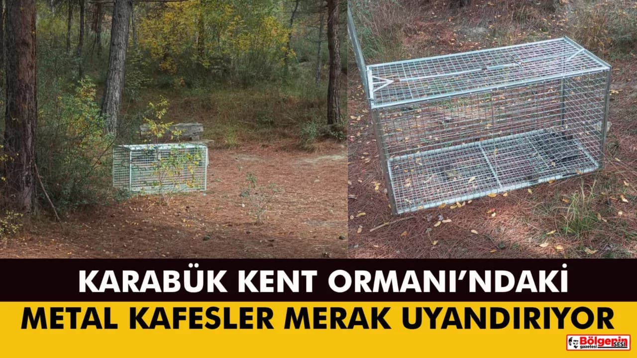 KARABÜK KENT ORMANI'NDAKİ METAL KAFESLER MERAK UYANDIRIYOR