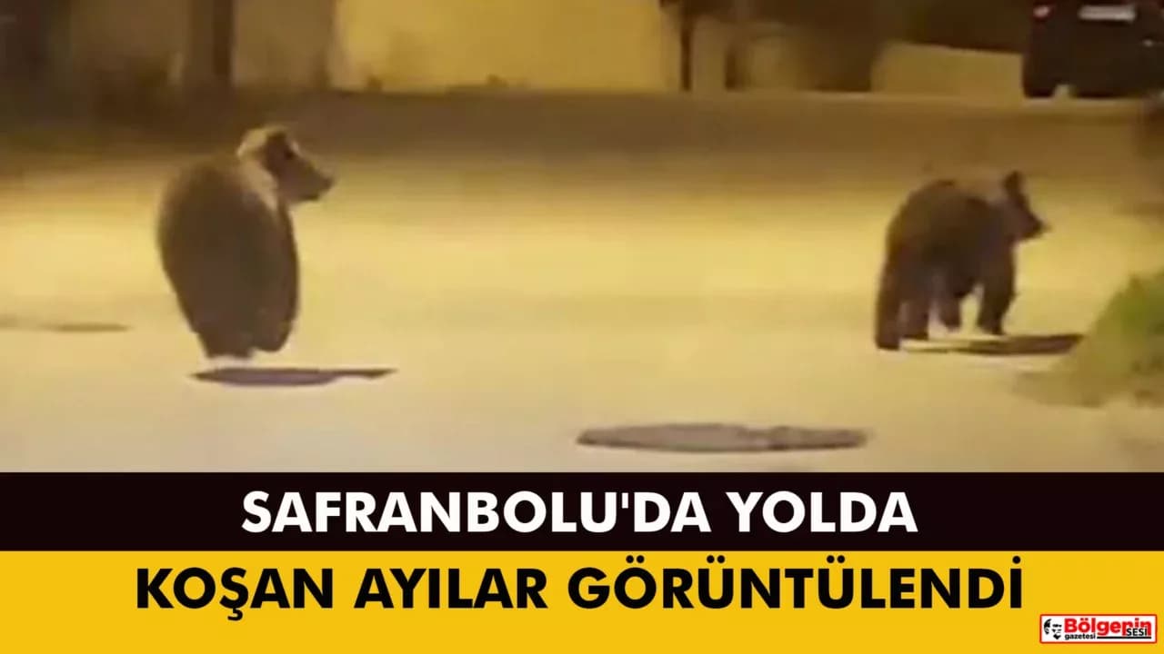 Safranbolu'da Yolda Koşan Ayılar Kamerada