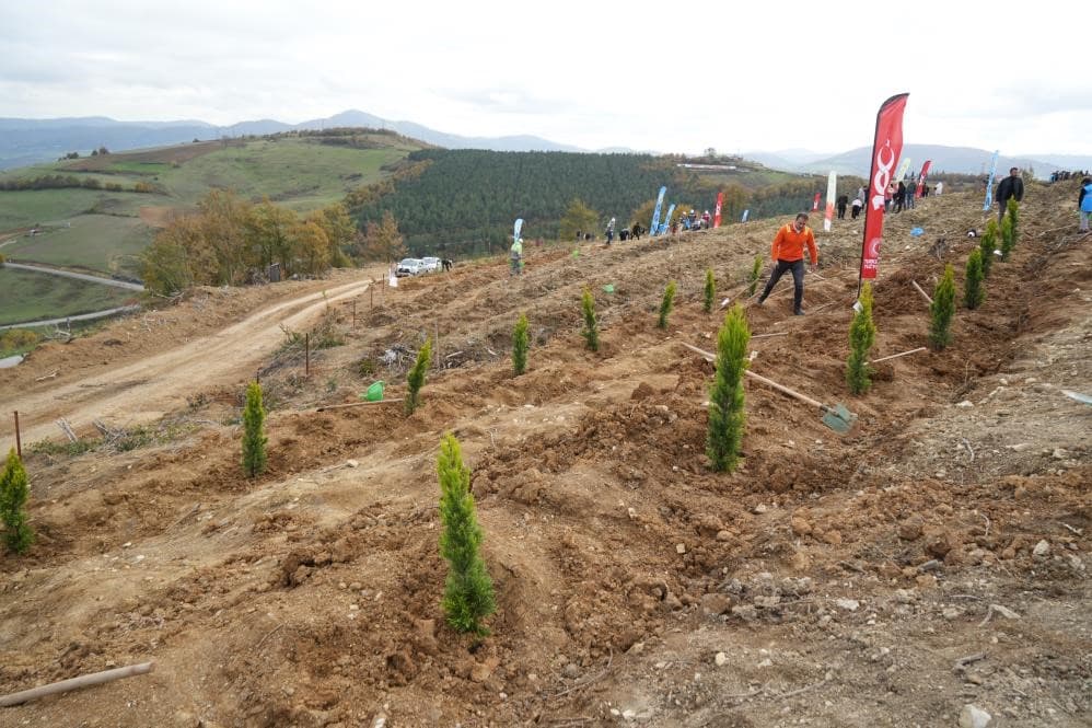 Samsun’da 11 Kasım Milli Ağaçlandırma Günü’nde 37 bin 380 fidan toprakla buluşacak