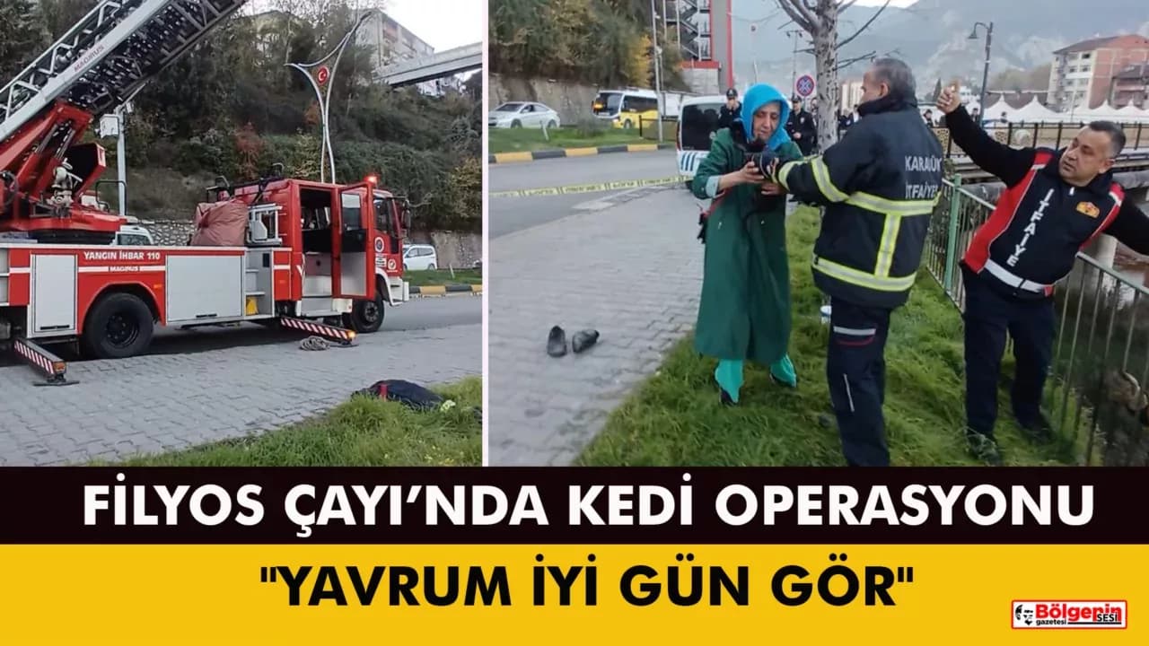 Karabük Filyos Çayı'na Düşen Yavru Kedi Kurtarıldı