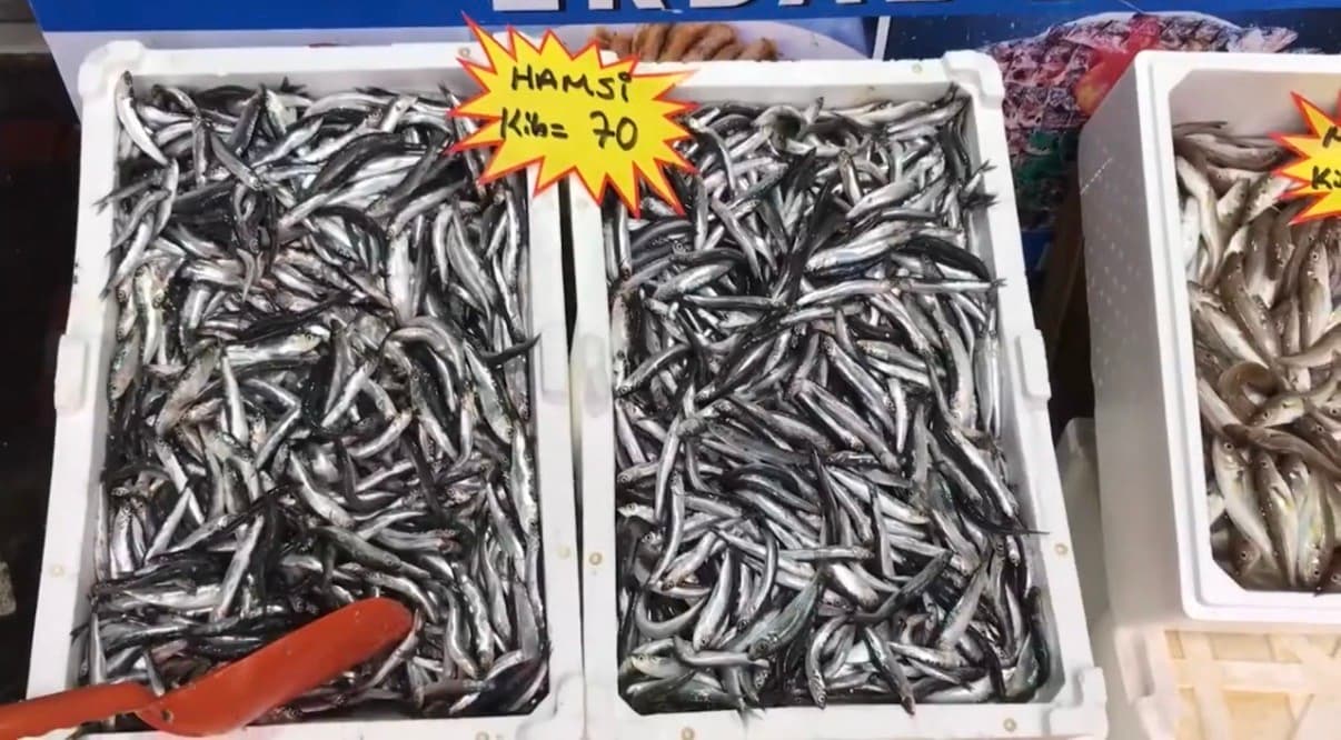 Akçakoca’dan balık tüketicilerine uyarı: "Buzhane balığına dikkat"