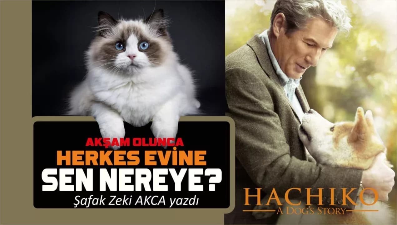 CAN DOSTLARIMIZA…