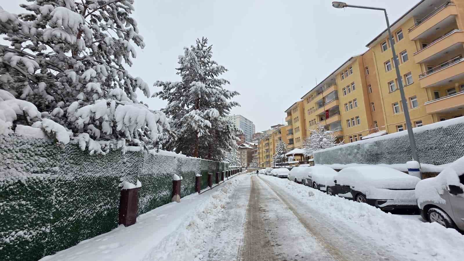 Gümüşhane’de kar 247 köy yolunu ulaşıma kapattı
