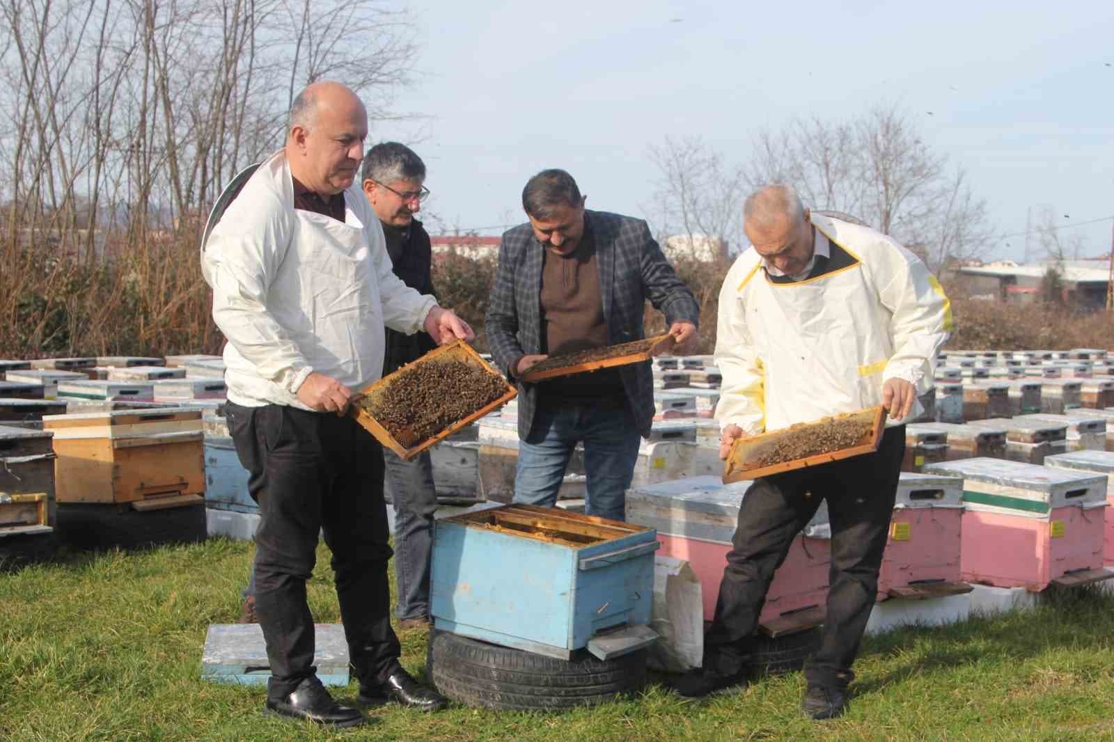 Türkiye’de en fazla bal üretiminin yapıldığı Ordu’da arıcılar sezona hazırlanıyor