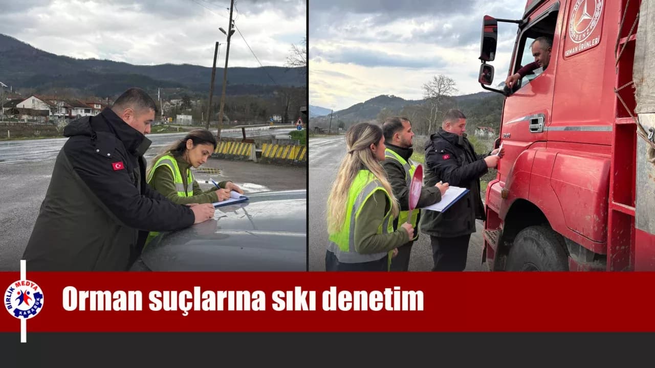 Yenice’de orman suçlarına sıkı denetim