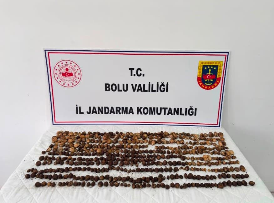 Bolu’da yabani salep toplayan 3 kişiye rekor ceza: 2 milyon 97 bin TL