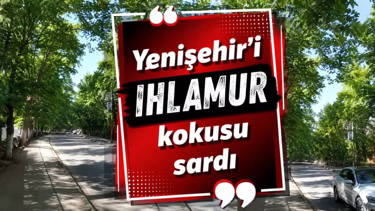 Yenişehir Yolunu Ihlamur Kokusu Sardı