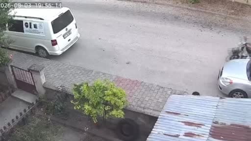 Yavru kediyi önce öpüp sonra boğmuştu, gözaltına alındı
