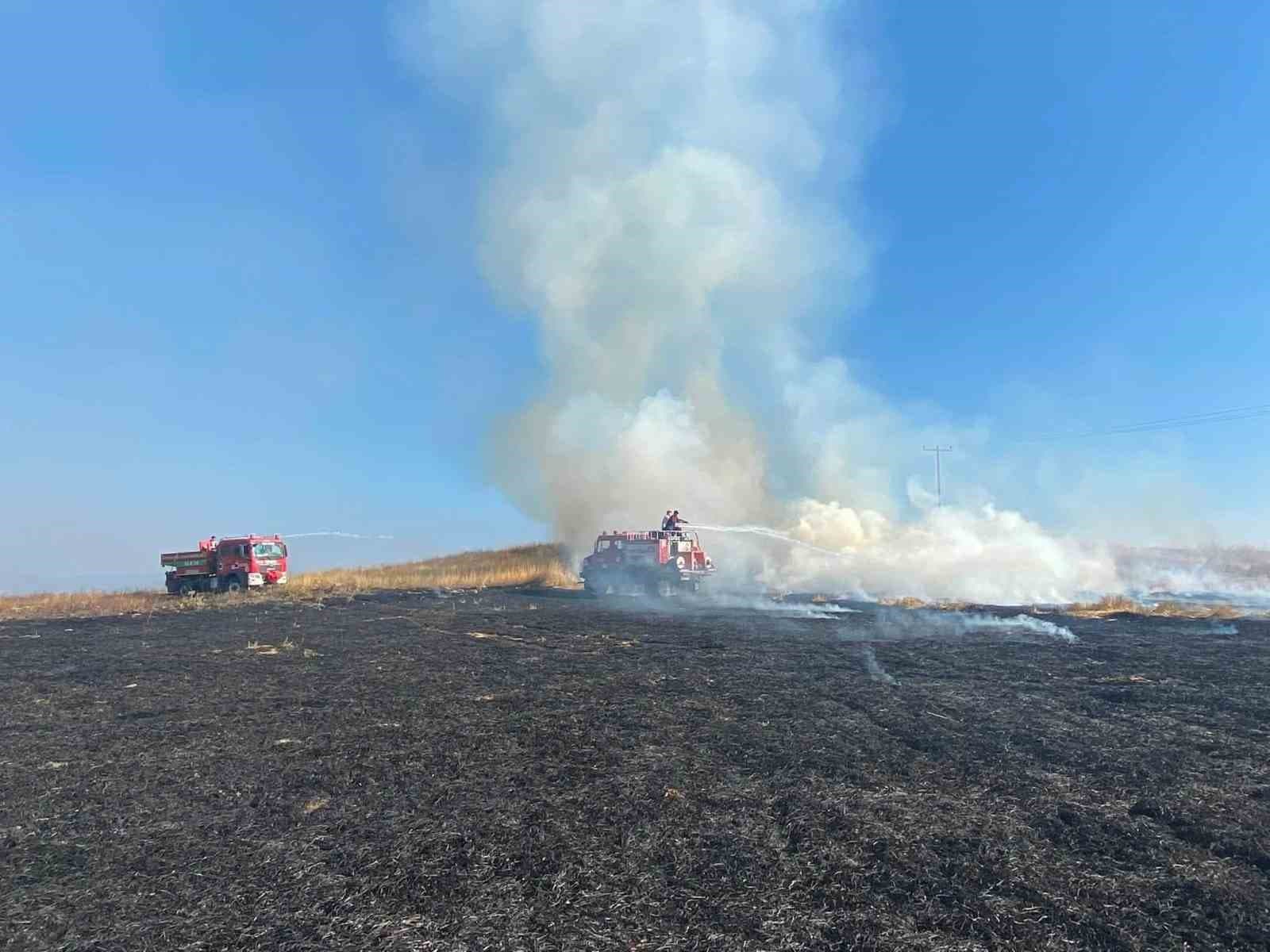 Bolu’da elektrik direğinden çıkan yangında 8 dekar alan zarar gördü