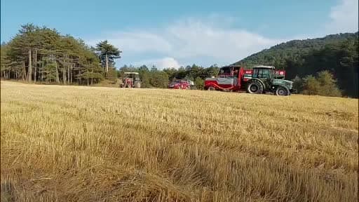 Bolu’da orman kenarında anız yangını: Köylülerin su tankerli müdahalesi faciayı önledi