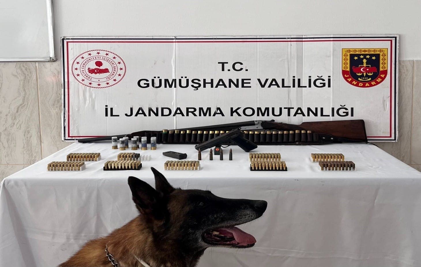 Gümüşhane’de ruhsatsız silah ve çok sayıda mühimmat ele geçirildi