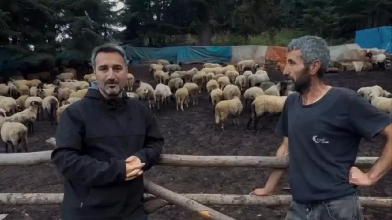 Safranbolu yaylalarından gençlere çağrı: “Üretin, kazanın”