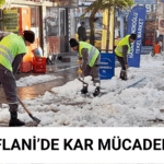 Eflani'de Karla Mücadele Çalışmaları Sürüyor