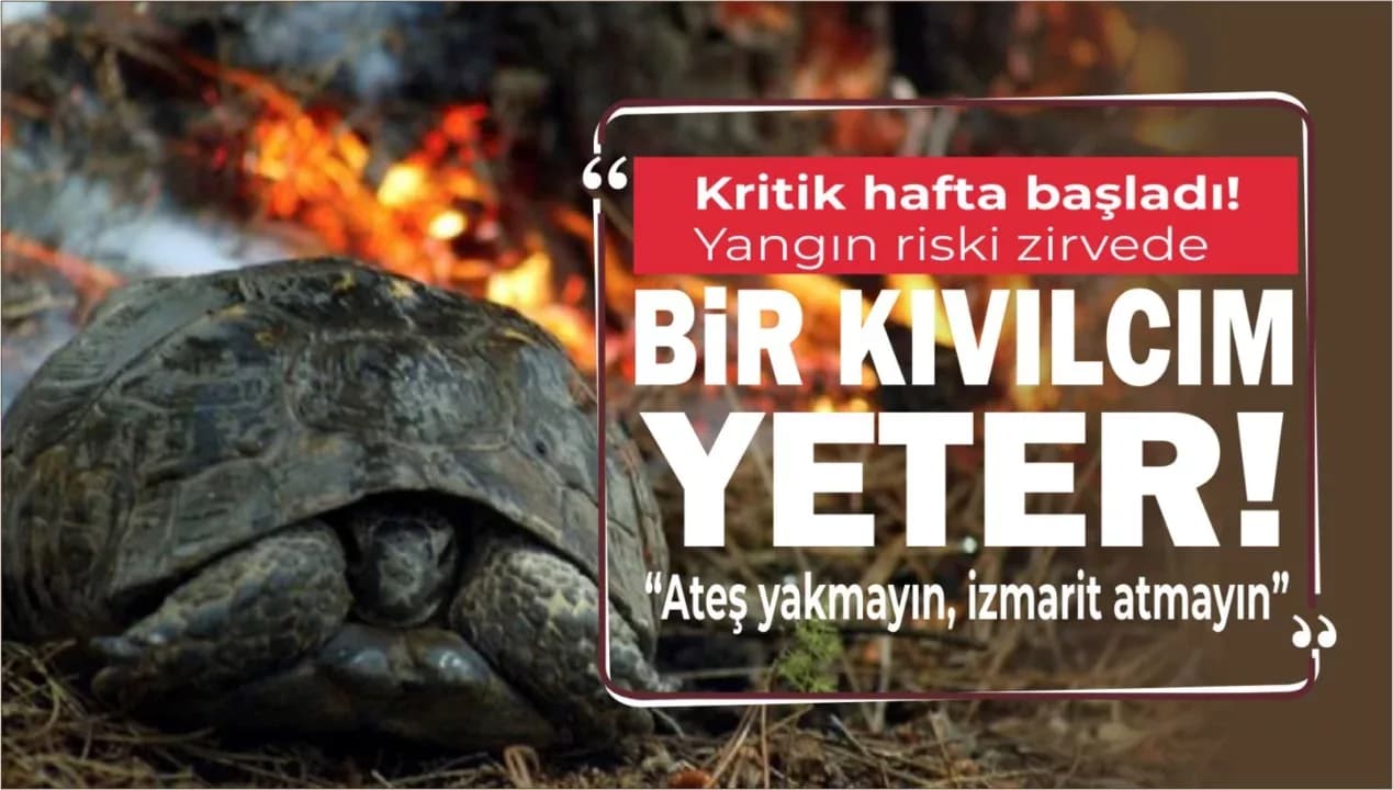 OGM Uyardı: Orman Yangını Riski Arttı, Kritik Döneme Girildi