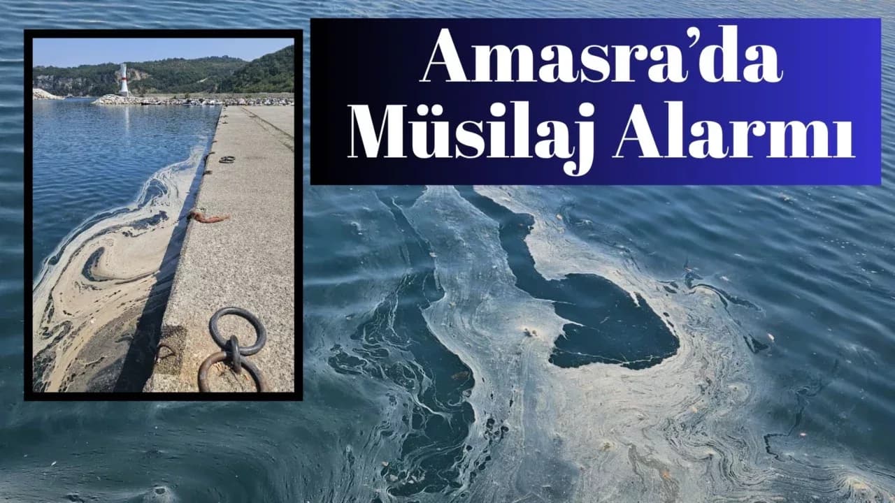 Amasra Kıyılarında Müsilaj Görüldü