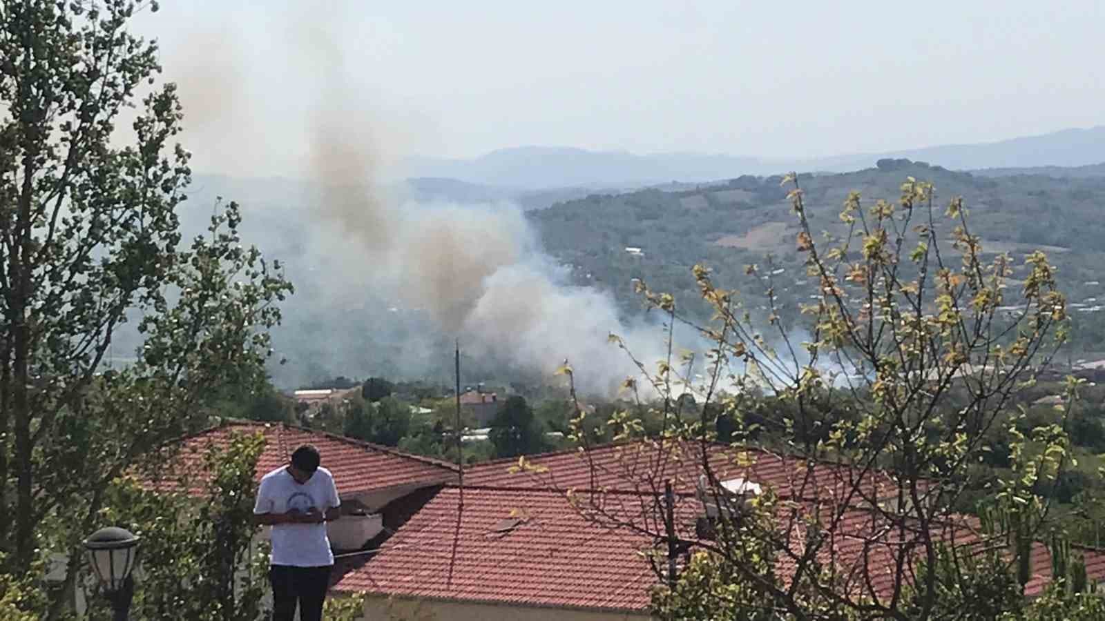 Bartın’da peş peşe yangınlar çıktı