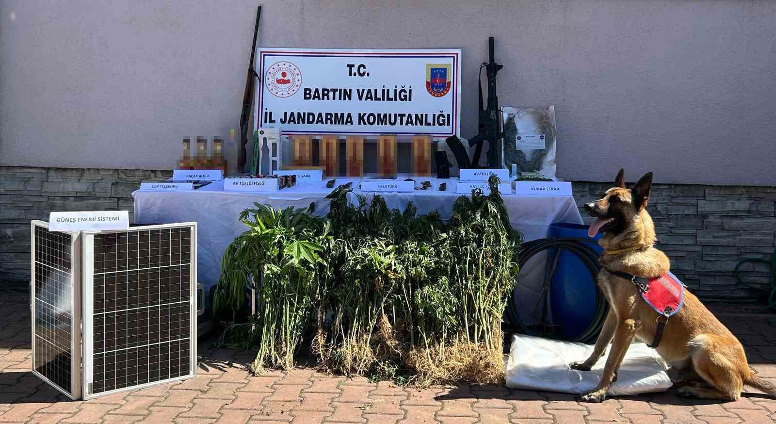 Kurucaşile’deki uyuşturucu operasyonunda 1 kişi tutuklandı