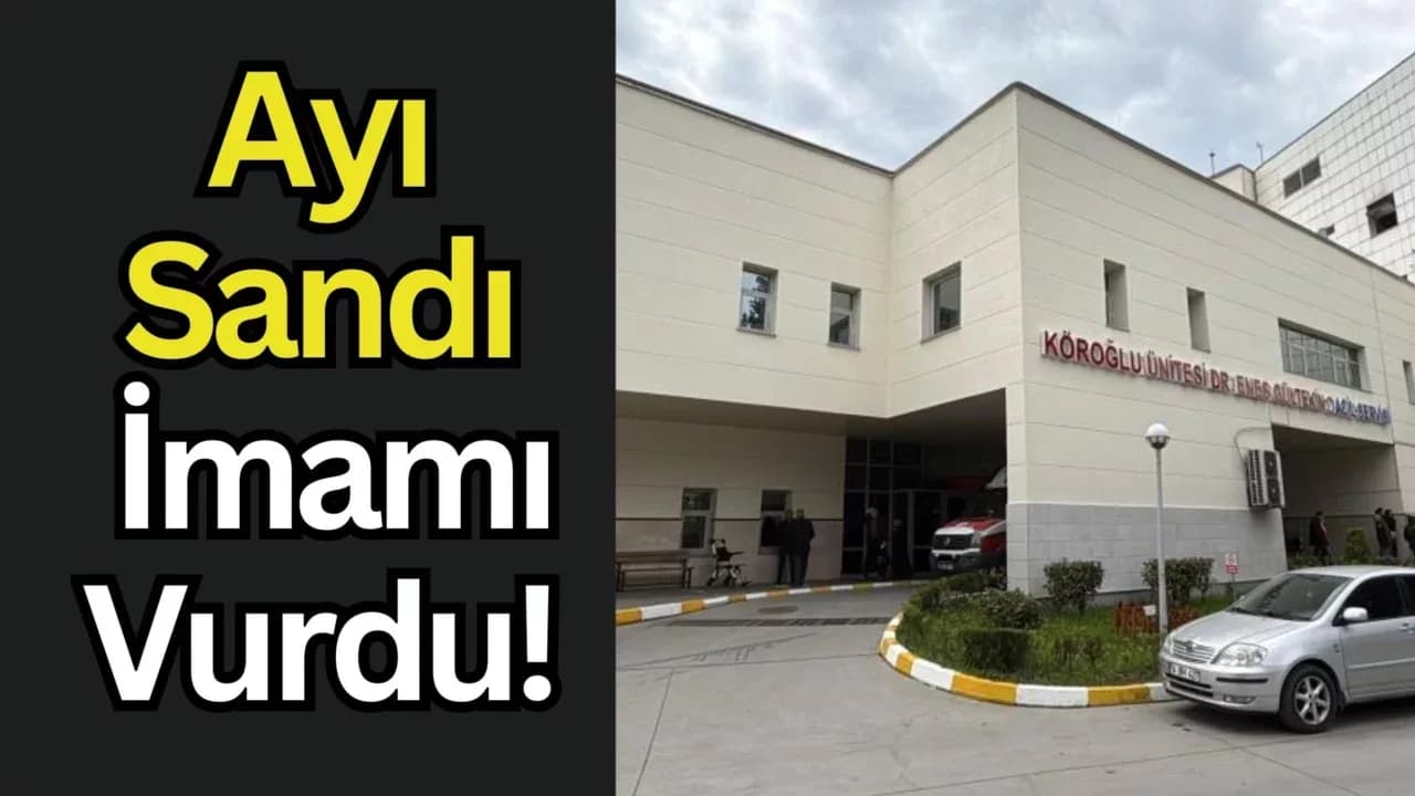 Bolu'da bir arıcı, gece saatlerinde imamı ayı zannederek tüfekle vurdu