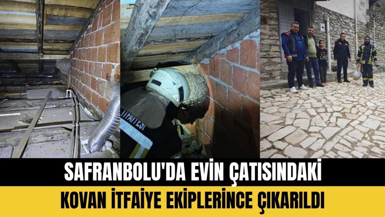 Safranbolu'da Evin Çatısında Yaban Arısı Paniği