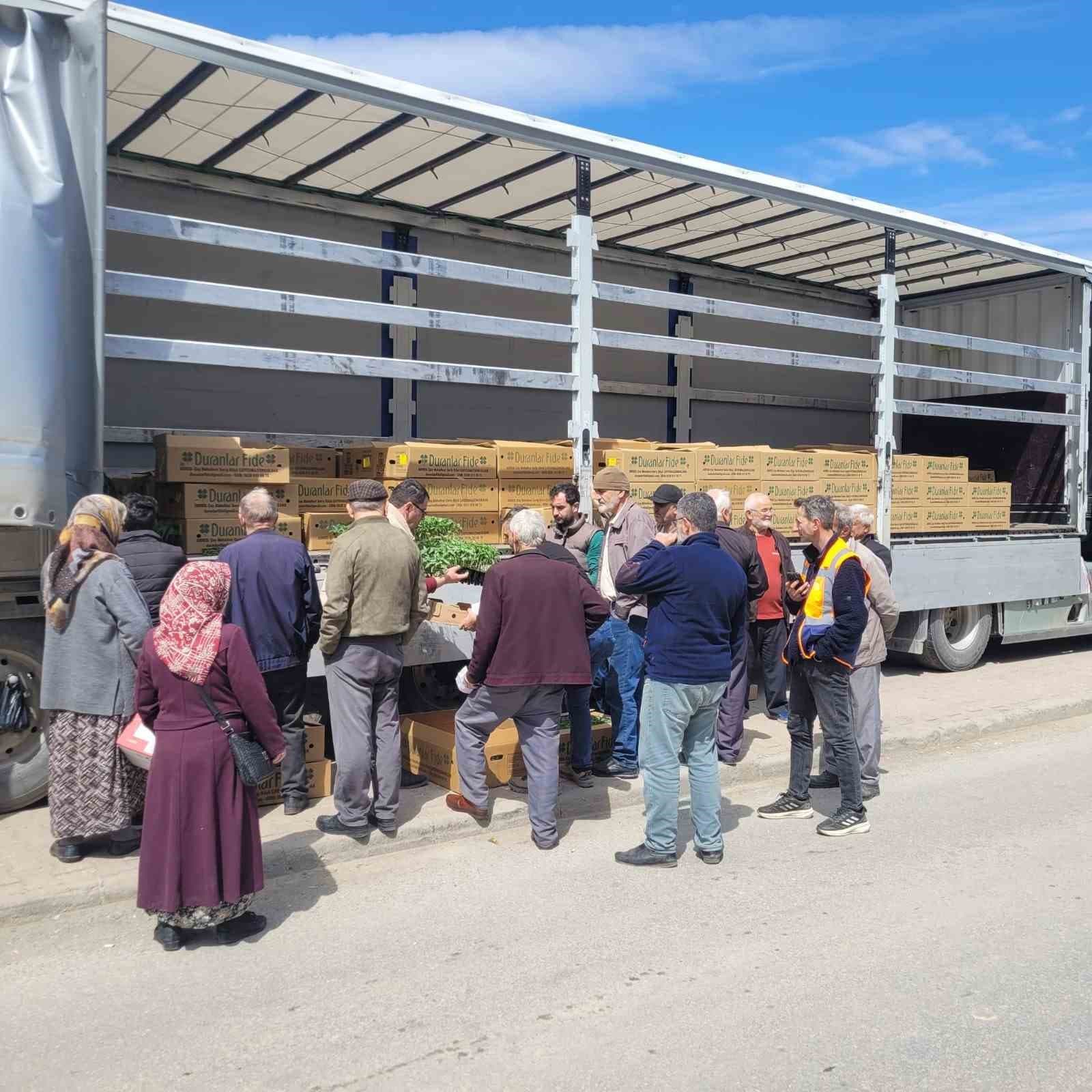 Kastamonu’da çiftçilere 147 bin adet sebze fidesi dağıtıldı