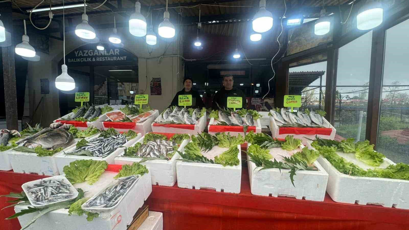 Alaplı balıkçı tezgahlarında çeşit bitti mezgit fiyatı 500 liraya çıktı