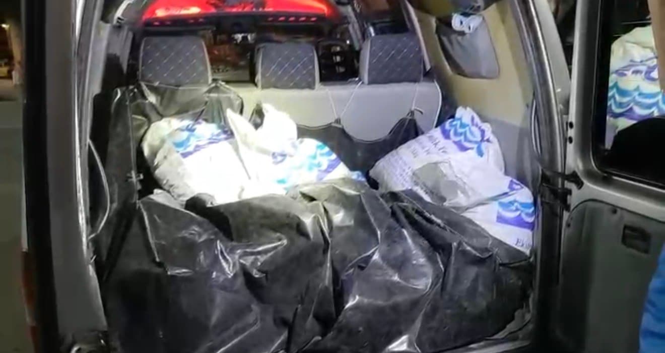 Kaçak toplanan 150 kilo kara kıllı midye denize geri bırakıldı