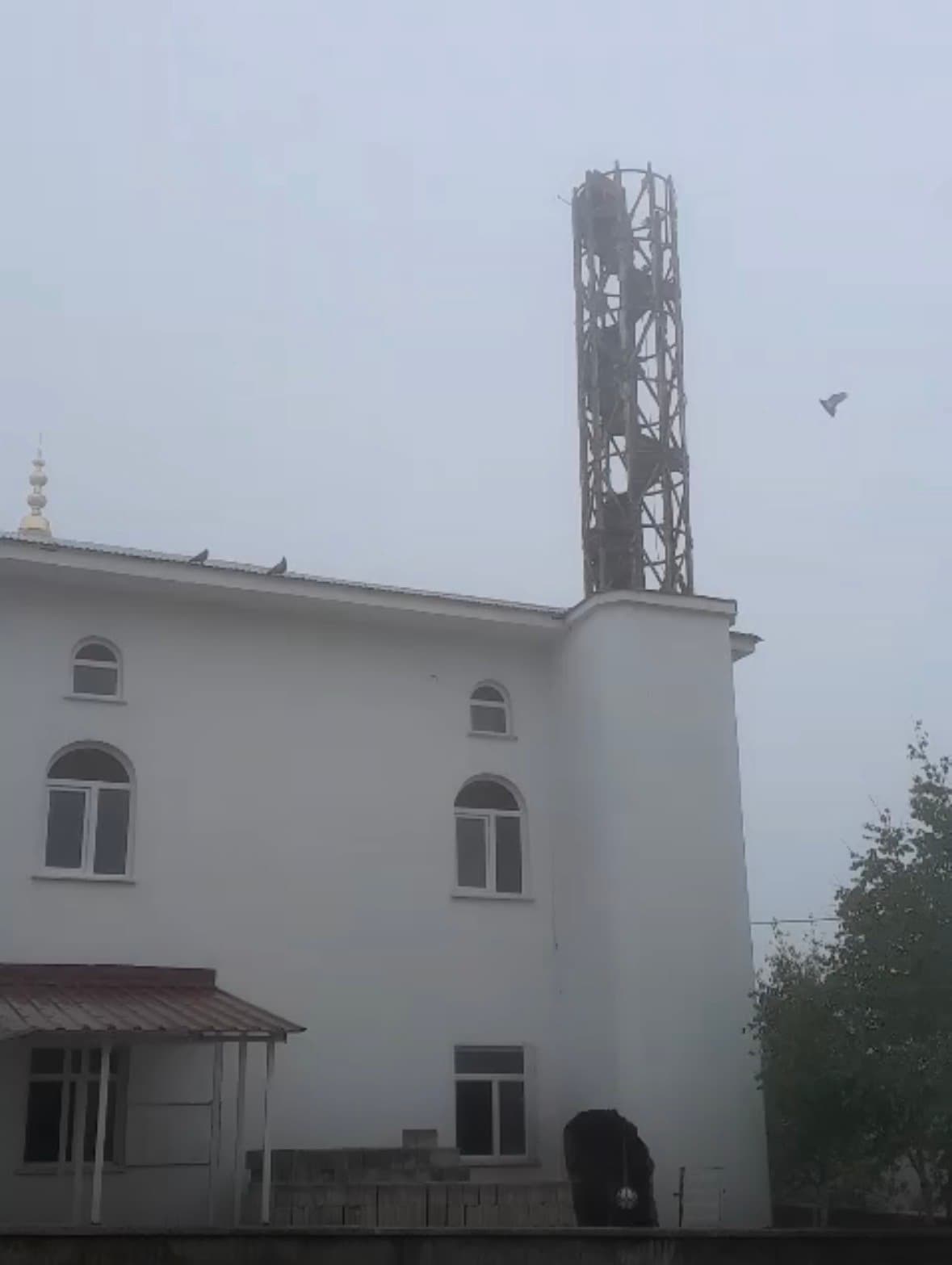 Güvercin yuvası minare yıkımını erteledi