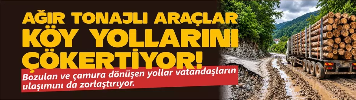 Tomruk Kamyonları Köy Yollarını Bozuyor